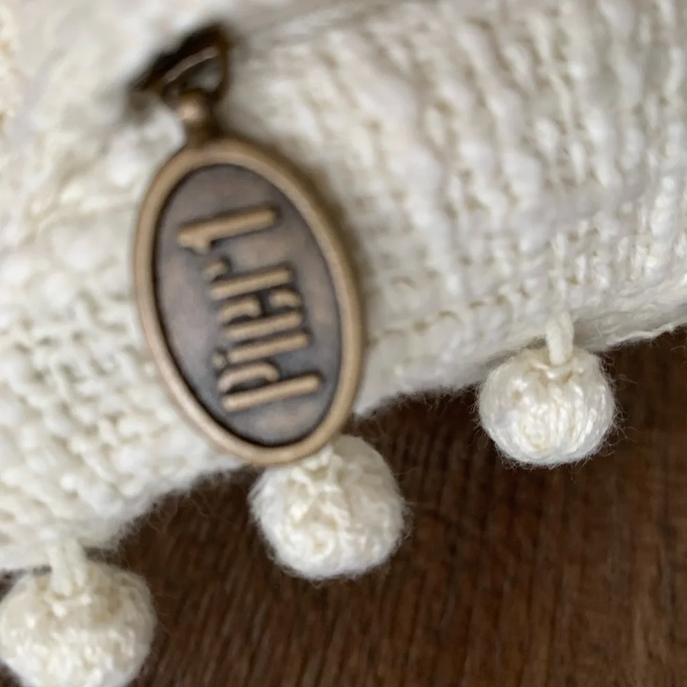 Pier 1 pillow case